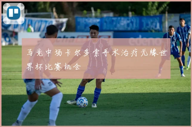 马竞中场卡尔多索手术治疗无缘世界杯比赛机会