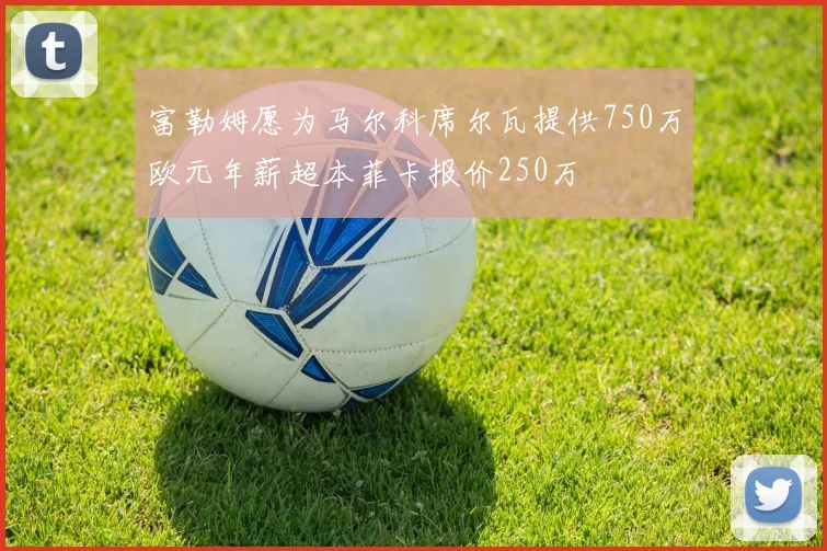 富勒姆愿为马尔科席尔瓦提供750万欧元年薪超本菲卡报价250万